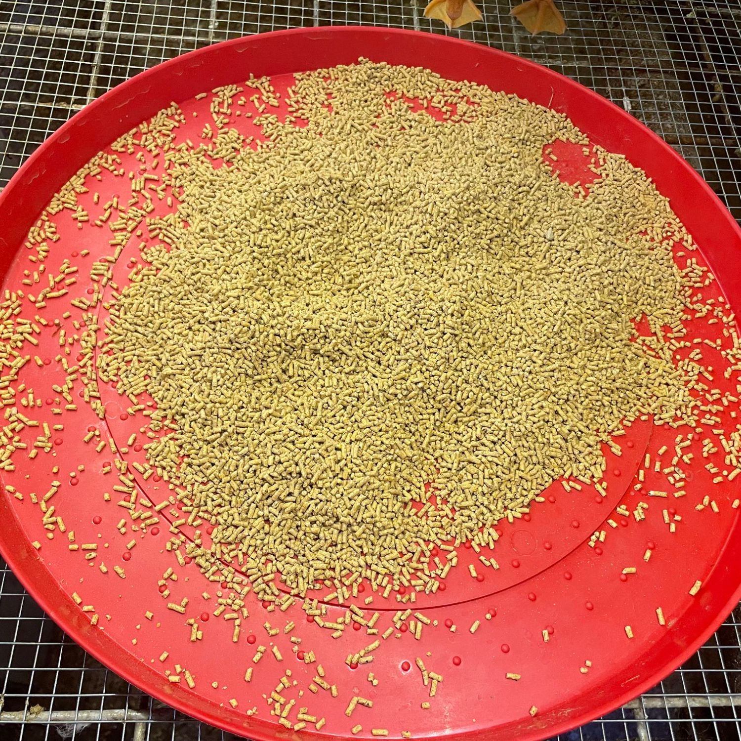 浦三  浦三料低蛋白  顺丰包邮包路损