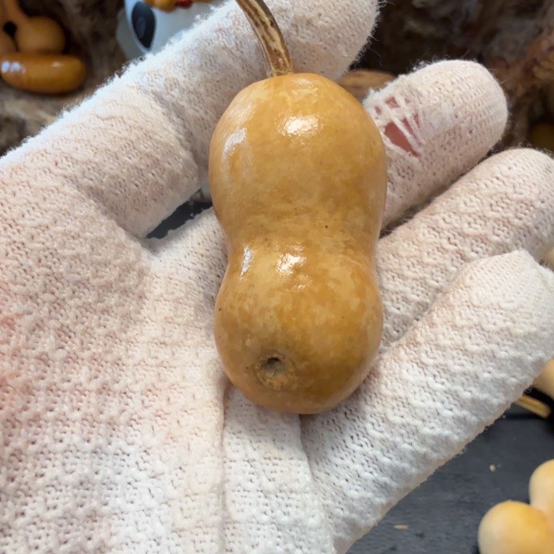 木***涛6666666666666666666666