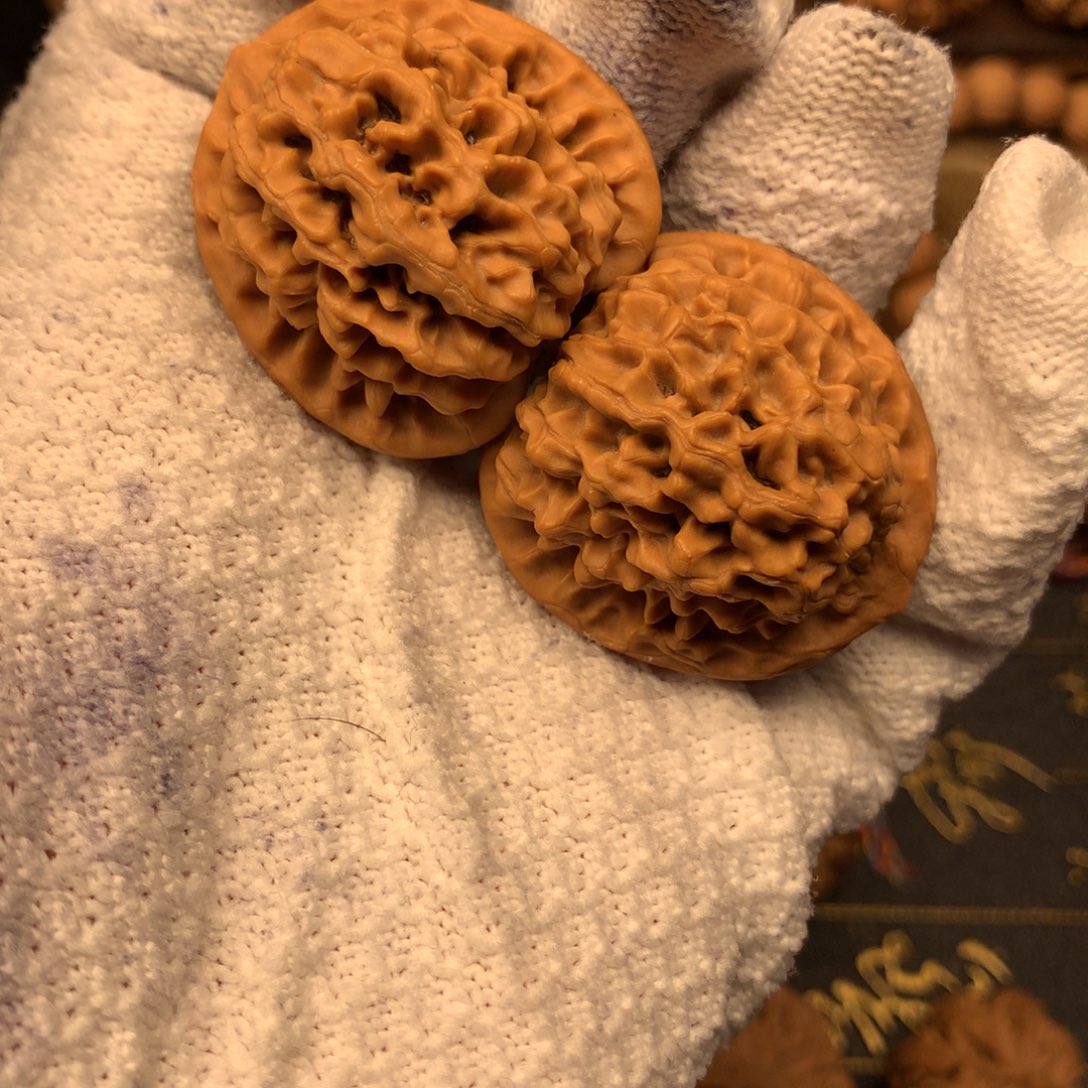 ?**本35尺秦岭野生秦闷福利黄尖