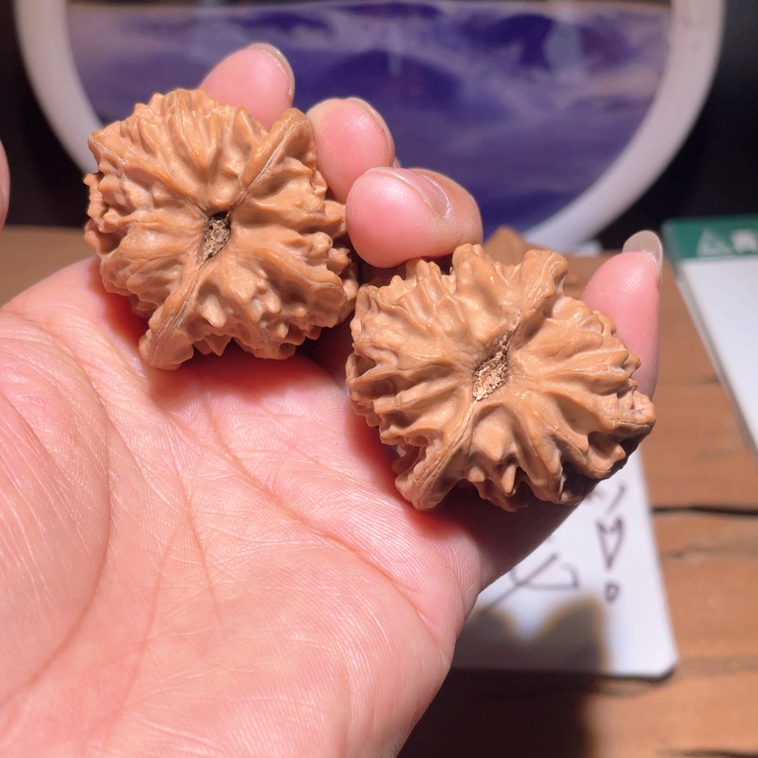 把件核桃S022。38尺。 大龙