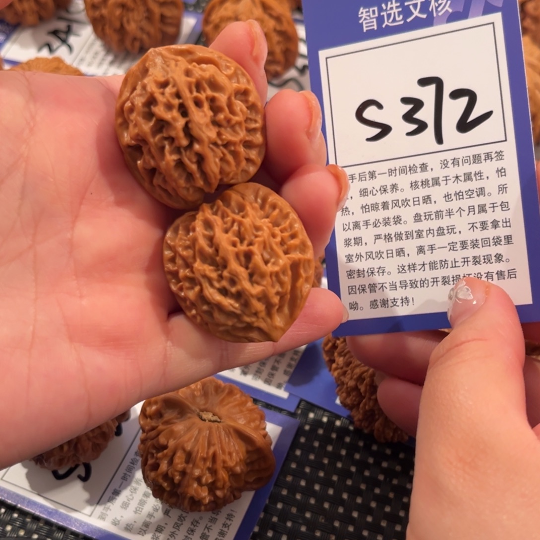 核桃S372号秦闷32尺