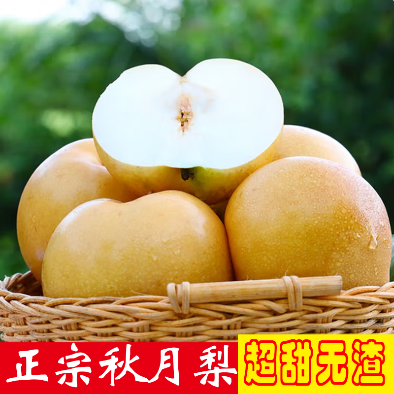 山东正宗秋月梨新鲜水果脆甜无渣孕妇水果礼盒中秋高端水果冰糖梨
