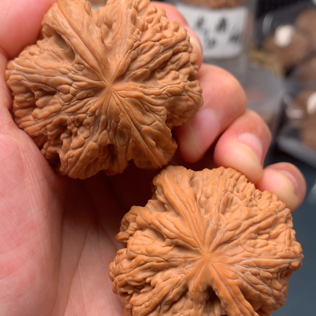 【闪购商品】桃核把件粗筋47.9-16651-3