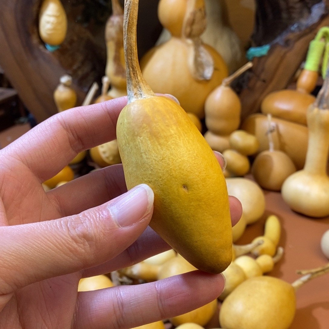 静***艺教练教练咯教练经理