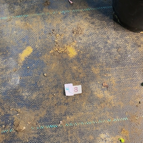 友***法师嫁接的法师土两代8888