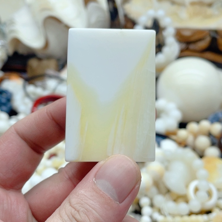 贝壳贝壳吧我的天