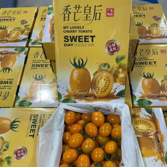 【珊姐优选】玲珑番茄约2斤装礼盒装 食用农产品 新鲜 生鲜