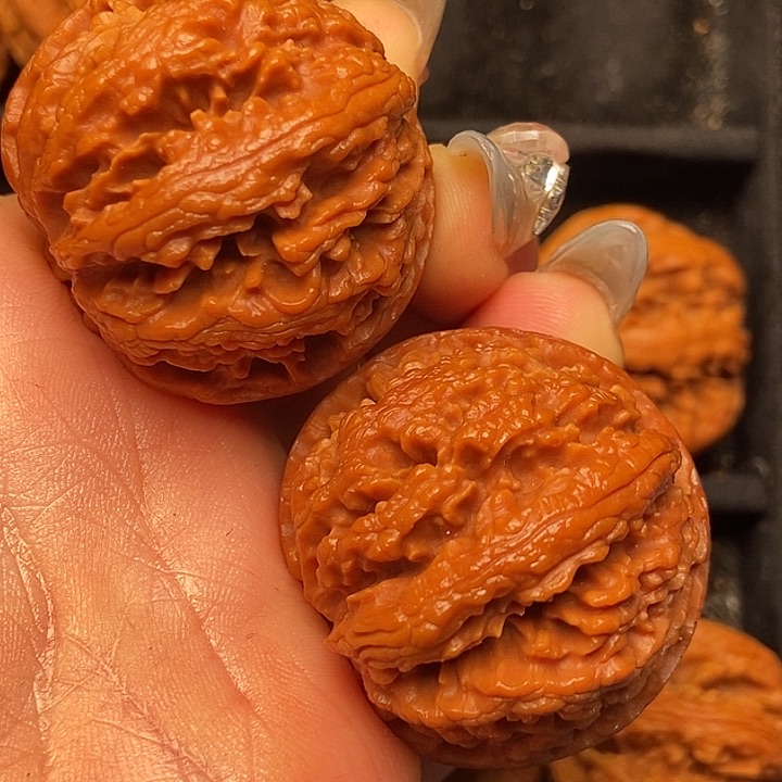 文玩核桃把件秦岭山脉核桃