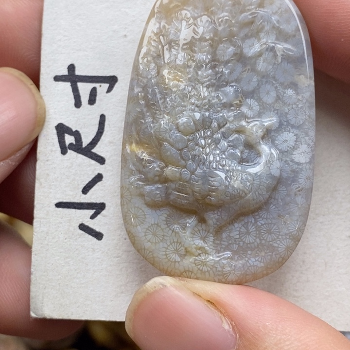 硅化珊瑚（珊瑚玉）未镶嵌颈饰