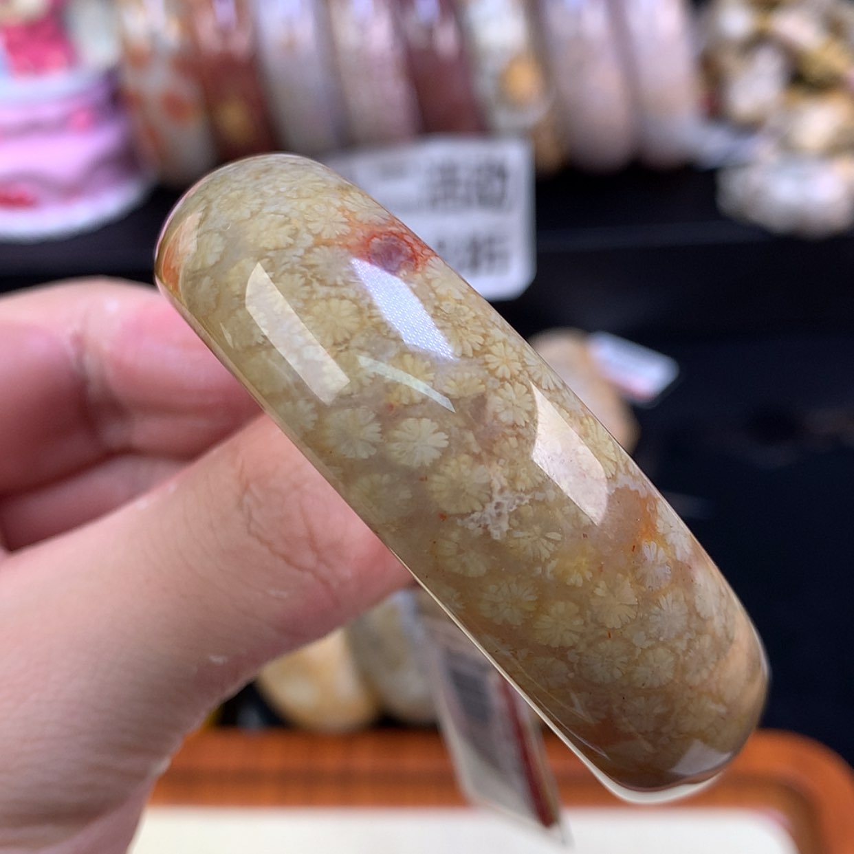 【闪购商品】颈饰未镶嵌硅化珊瑚（珊瑚玉）91号53.7圈雏菊