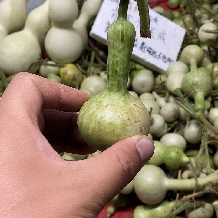 ?*凡长嘴呼呼呼呼呼呼呼好就斤斤计较