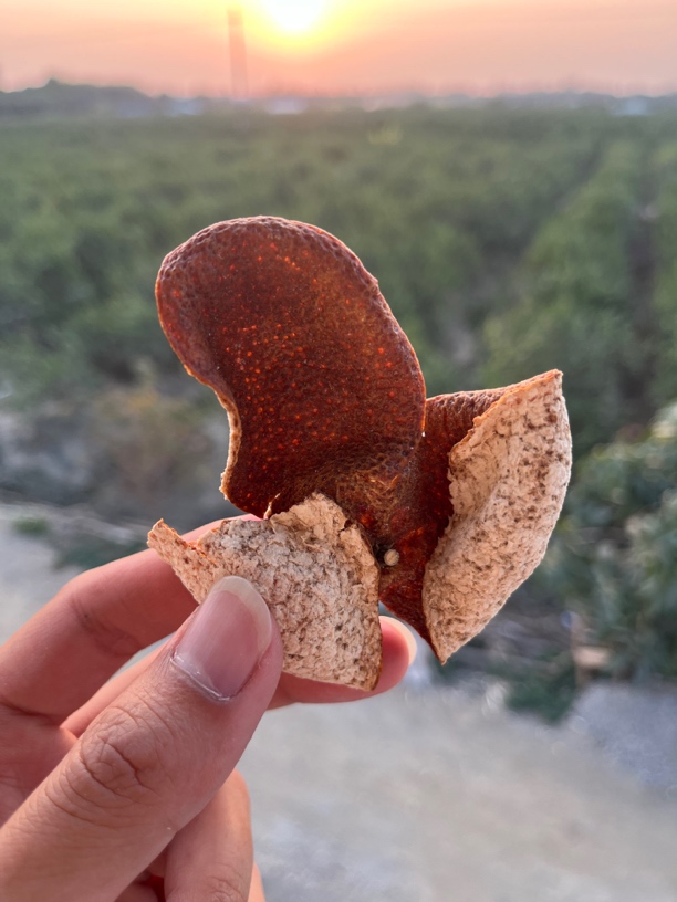 2021年新会七堡大红皮（纯干仓）