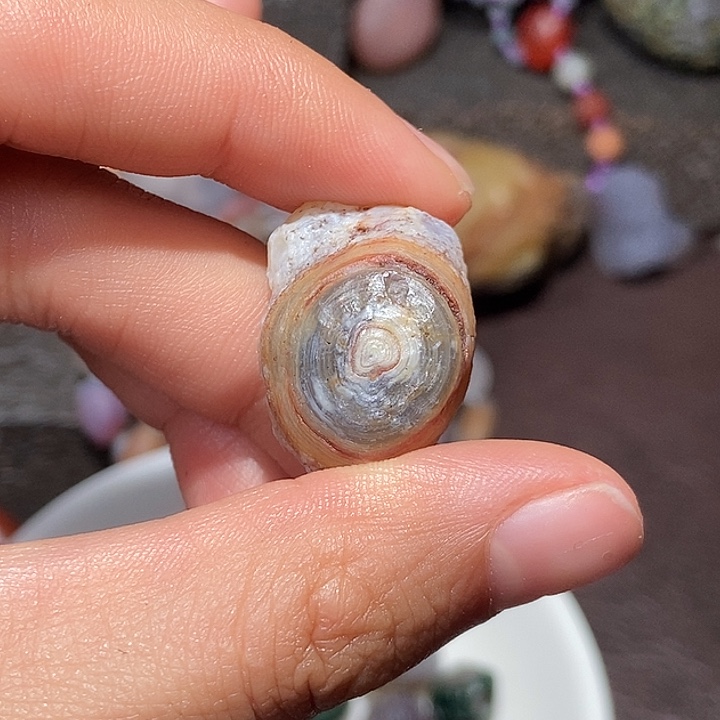 玛瑙/玉髓珠宝半成品未镶嵌验*官