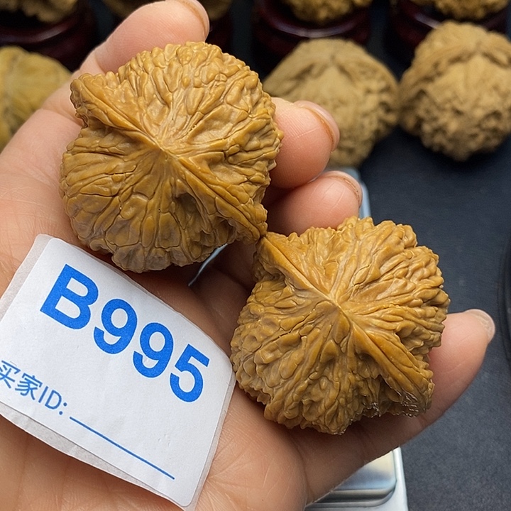 核桃泥鳅背4.2，泥鳅