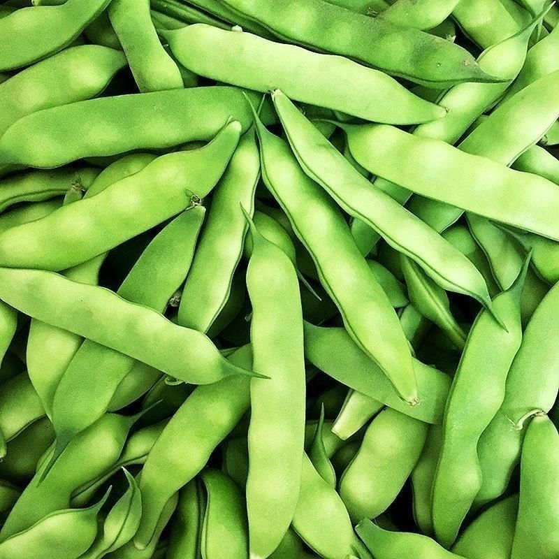 东北冒泡油豆角，小园油豆角