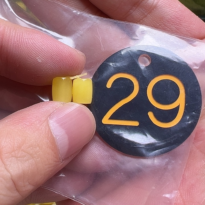 蜜蜡未镶嵌珠宝奇石6.2mm