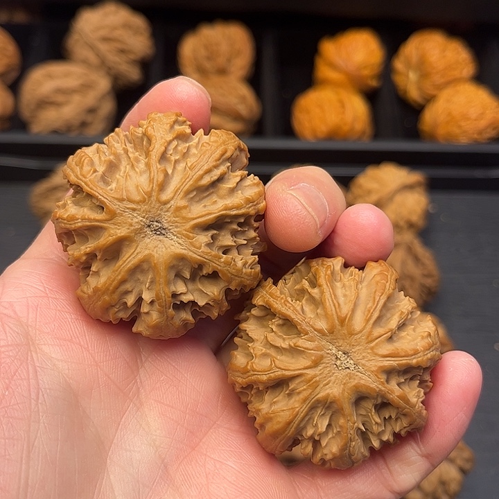 核桃秦岭山脉中段怒江与澜沧江