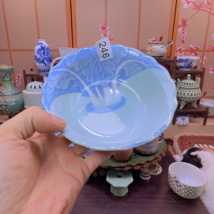 碗246啊啊啊啊啊啊啊啊啊啊啊啊