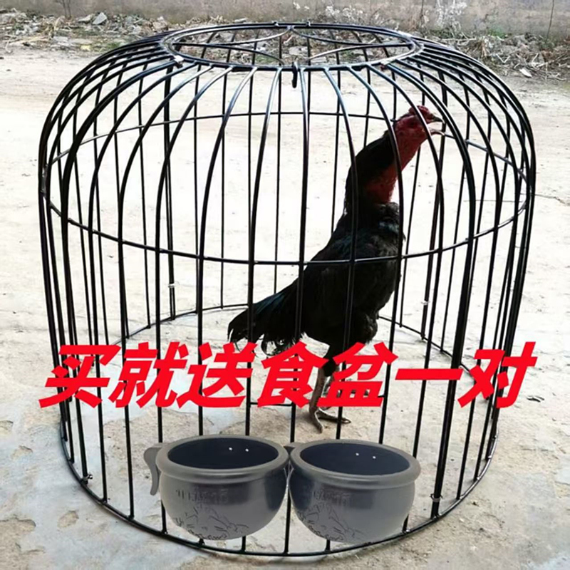 斗鸡笼子家用鸡笼折叠大号斗鸡罩笼钢筋斗鸡罩笼圆形斗鸡罩