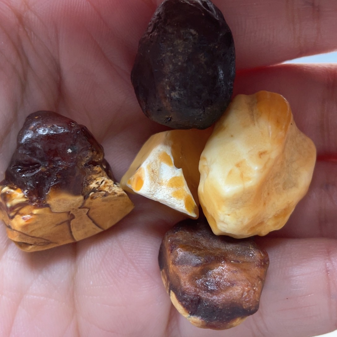 定制琥珀未镶嵌甲*虫原石