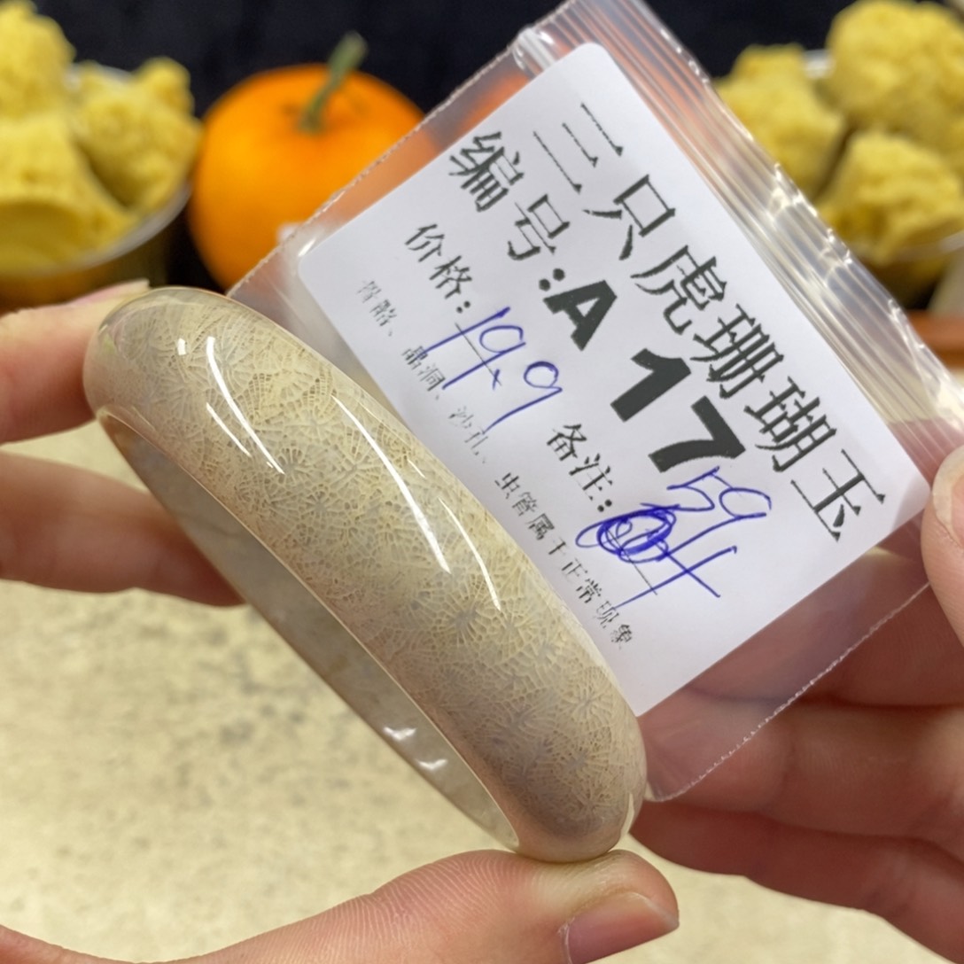 硅化珊瑚（珊瑚玉）1未镶嵌在****果