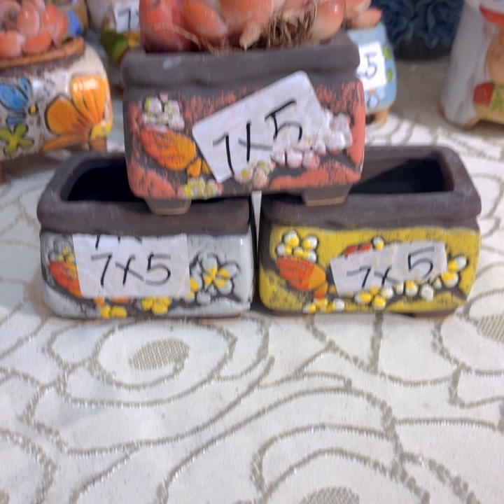 多肉花盆满15包邮