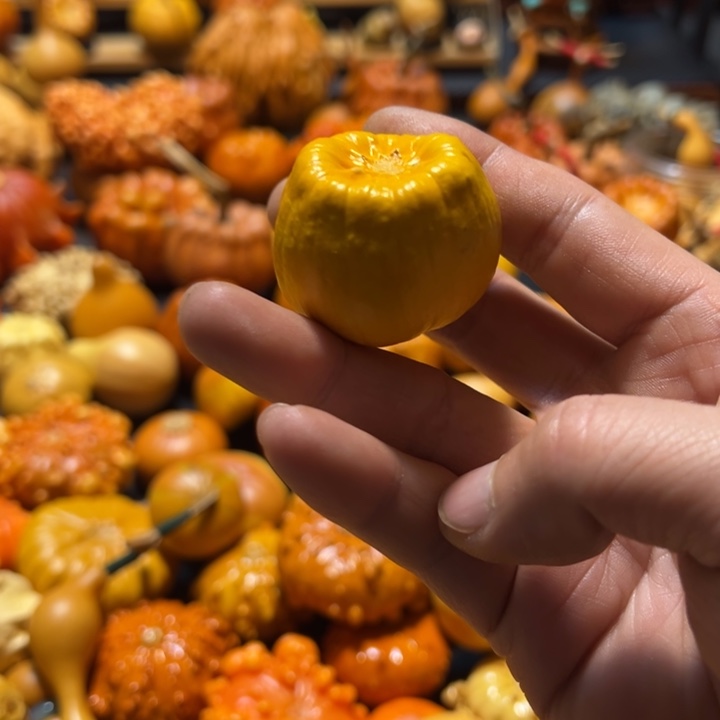 聚宝盆双色天裂瑕疵款不退不换