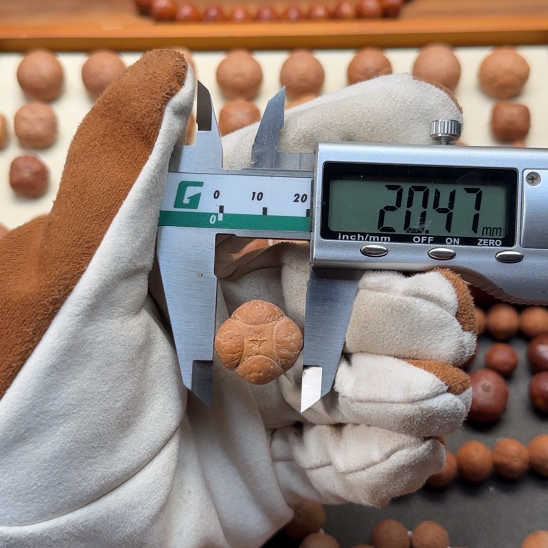 凤眼菩提吊坠羁*凤眼菩提