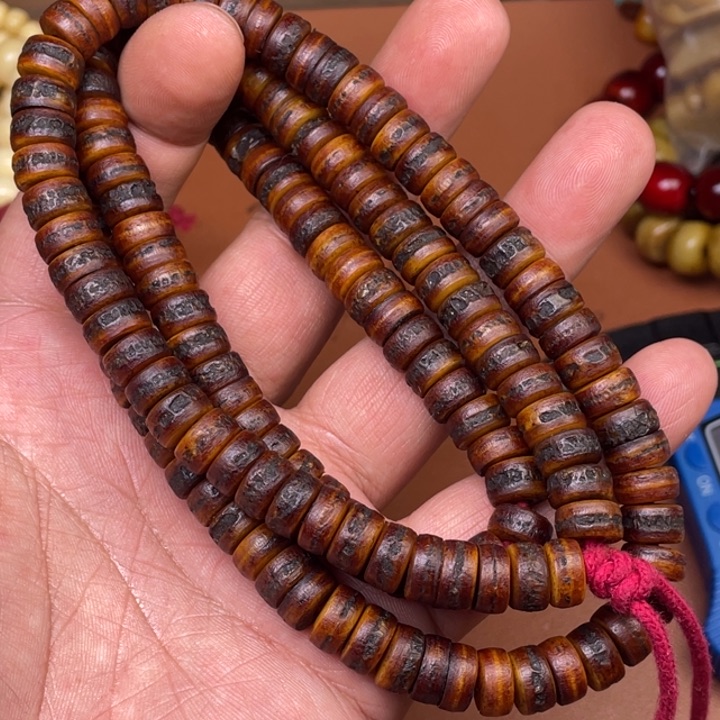 驼骨其他人工养殖