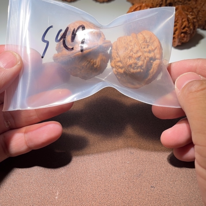 *****精品白狮子40尺寸