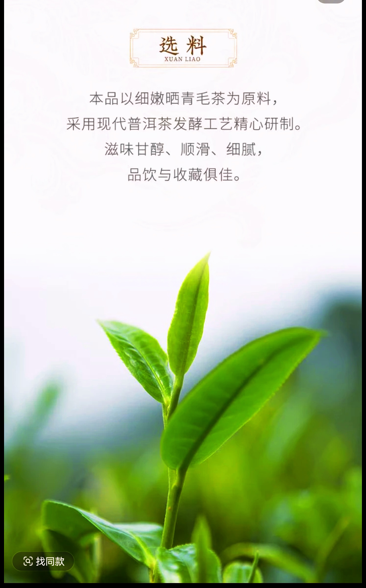 2017年味最酽 普洱 生茶  花果香蜜甜高扬（开包不退）