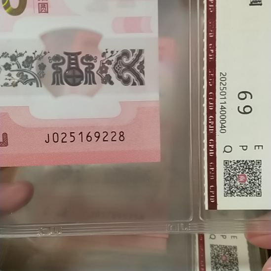 塑料蛇纪念钞 025169228 评级