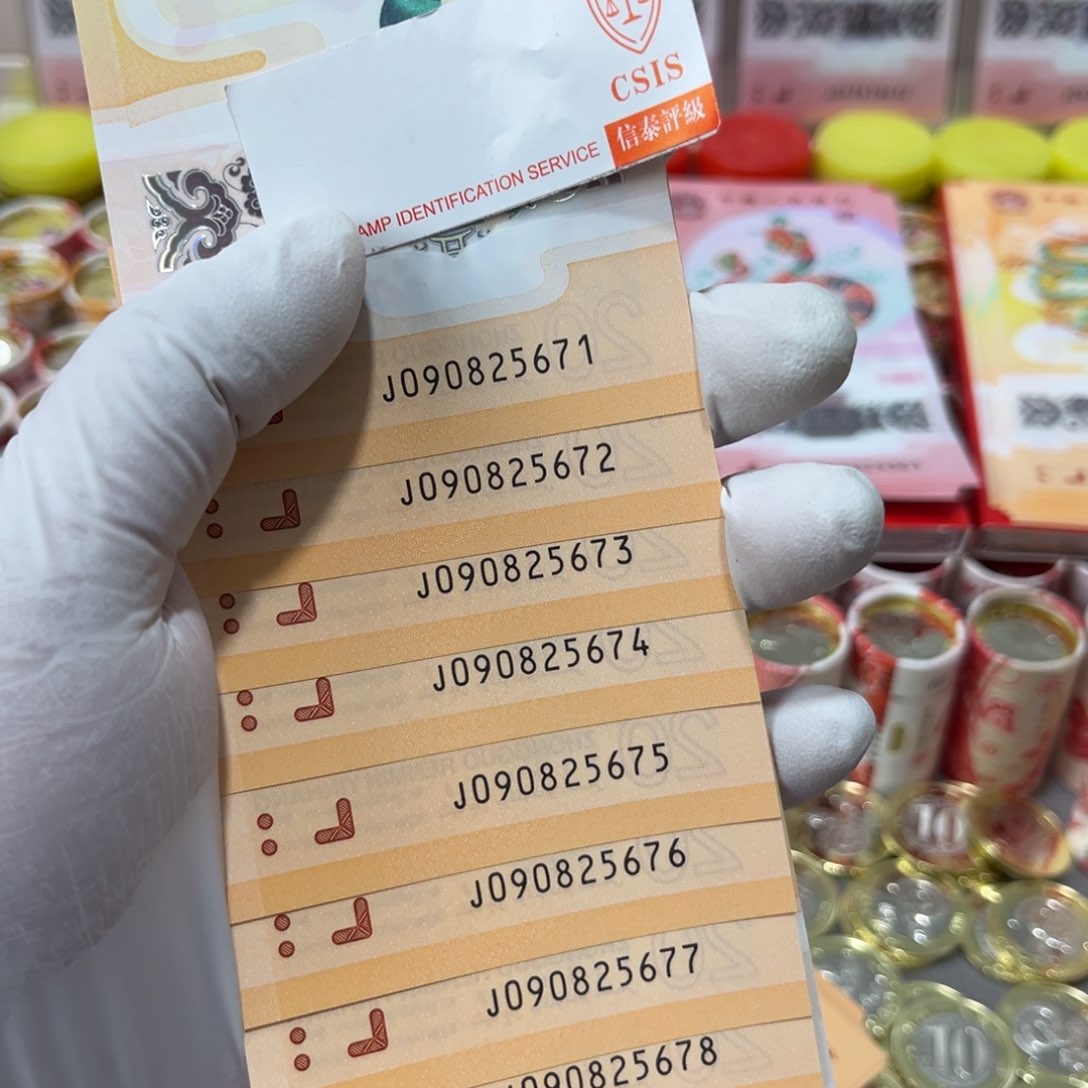 塑料龙钞尾090825671一组