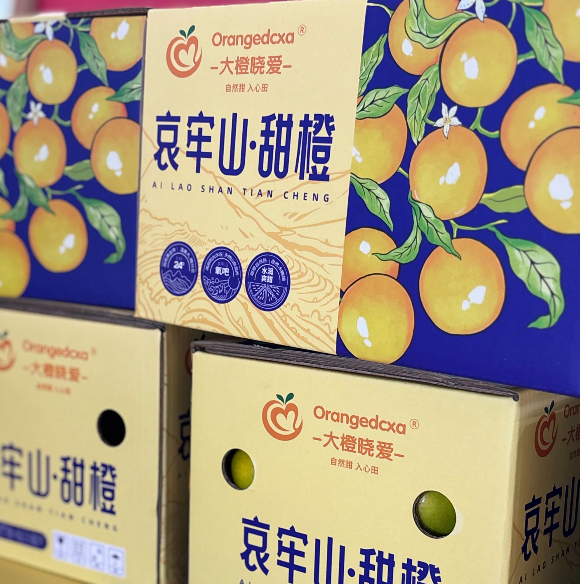 云南高山冰糖橙礼盒装