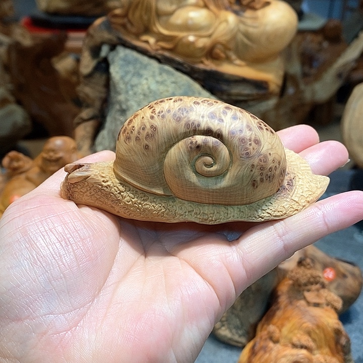 柏木（崖柏）太行崖柏