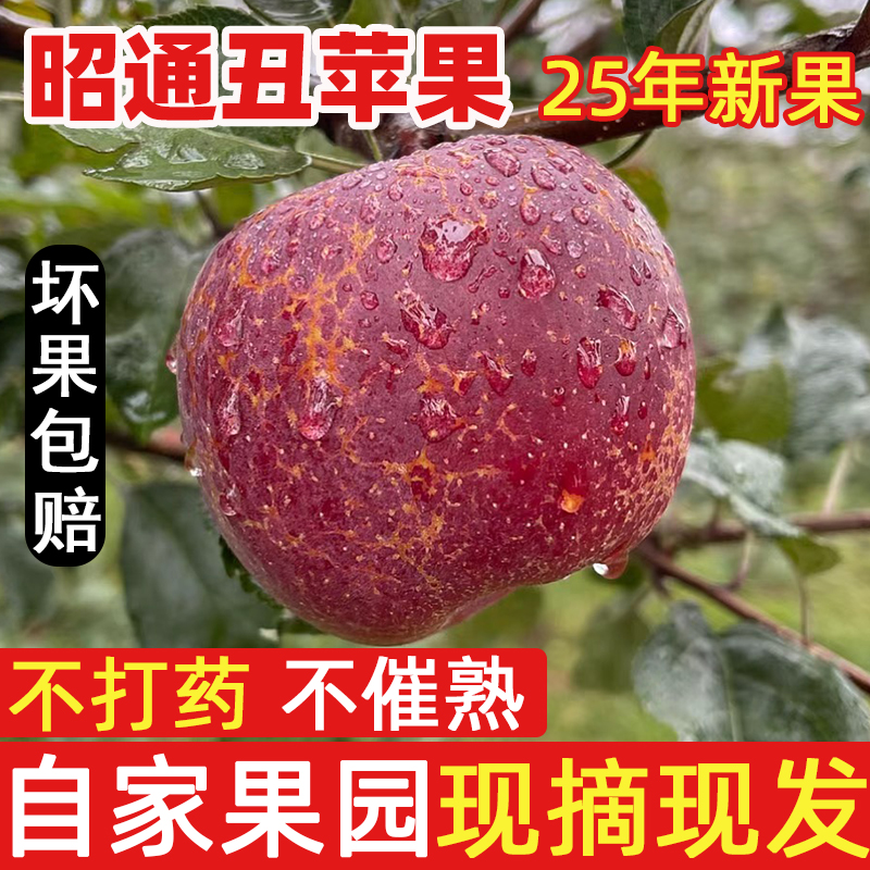 正宗云南昭通冰糖心丑苹果原产地现摘现发脆甜多汁