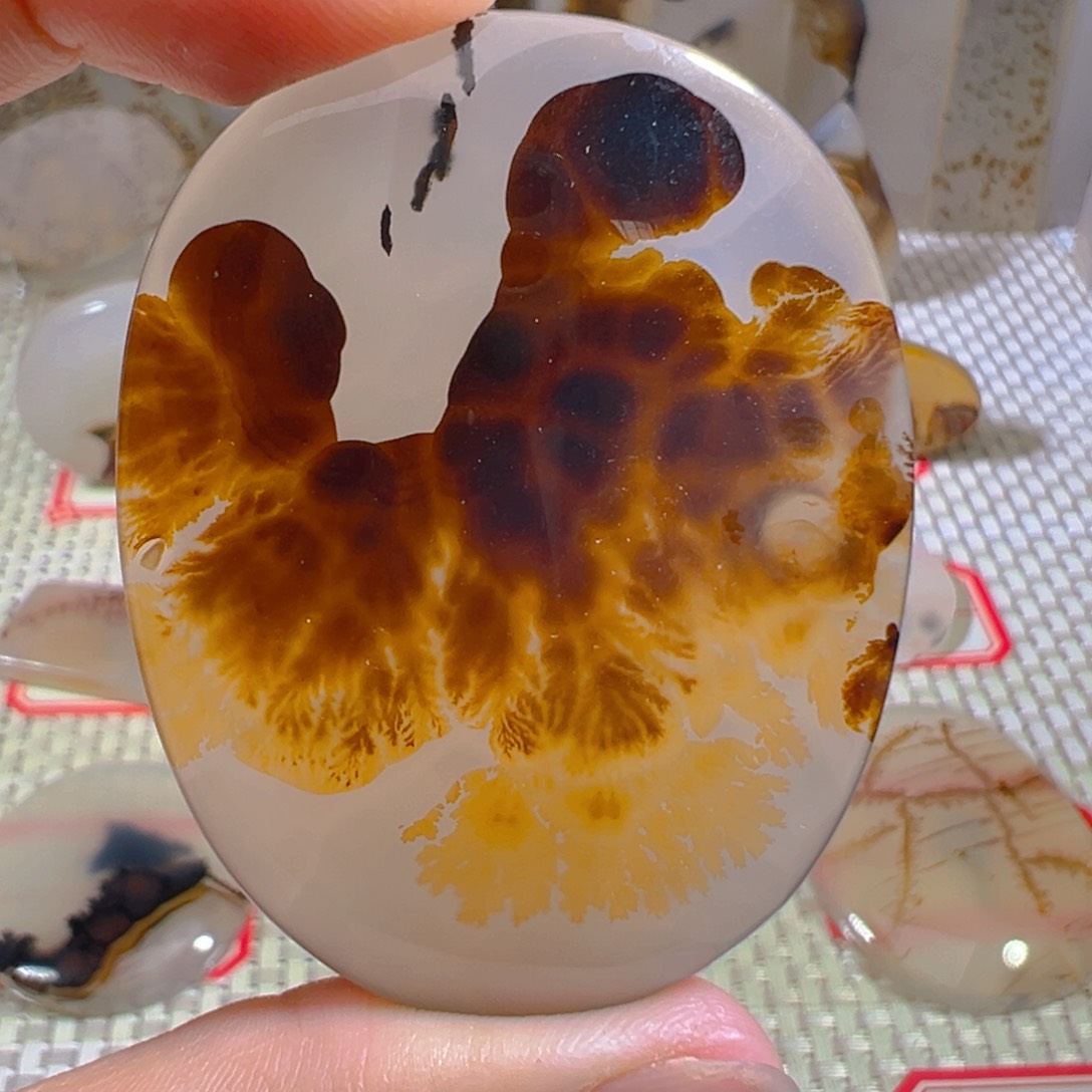 玛瑙/玉髓颈饰未镶嵌