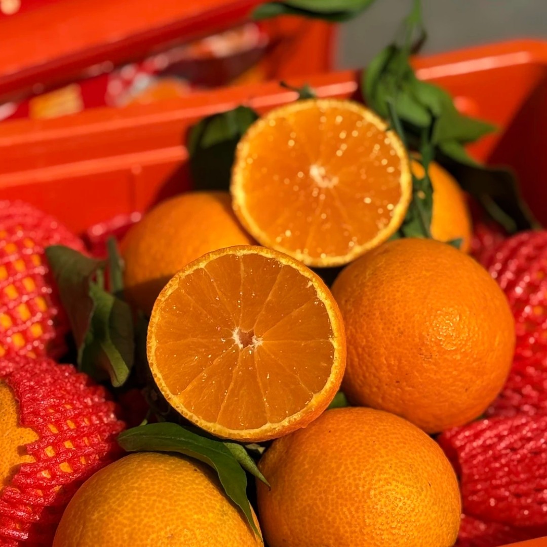 爱媛果冻橙4斤（去筐重）四川省