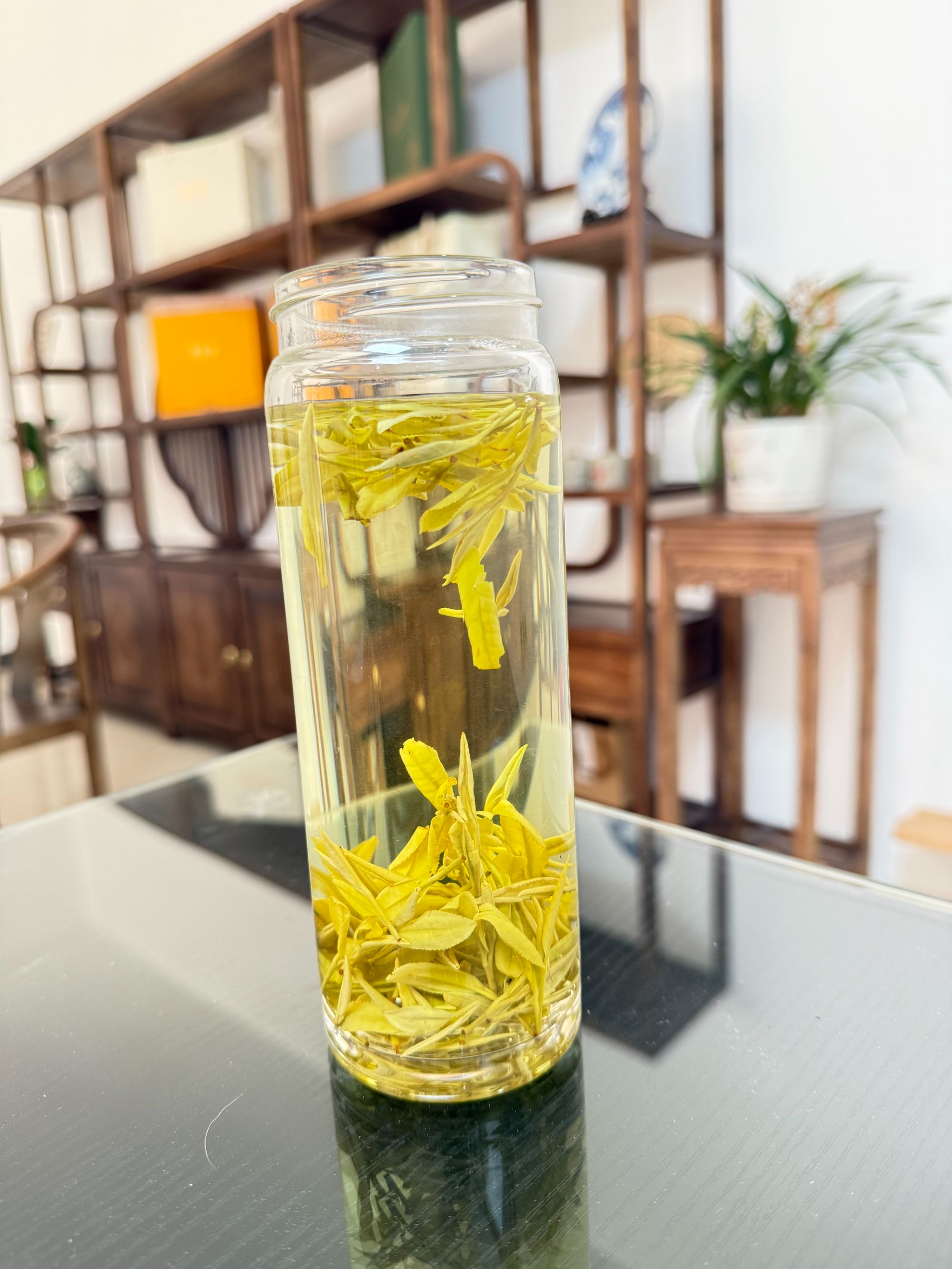 2025年高山黄金芽豆香醇厚甘甜耐泡【口粮茶】