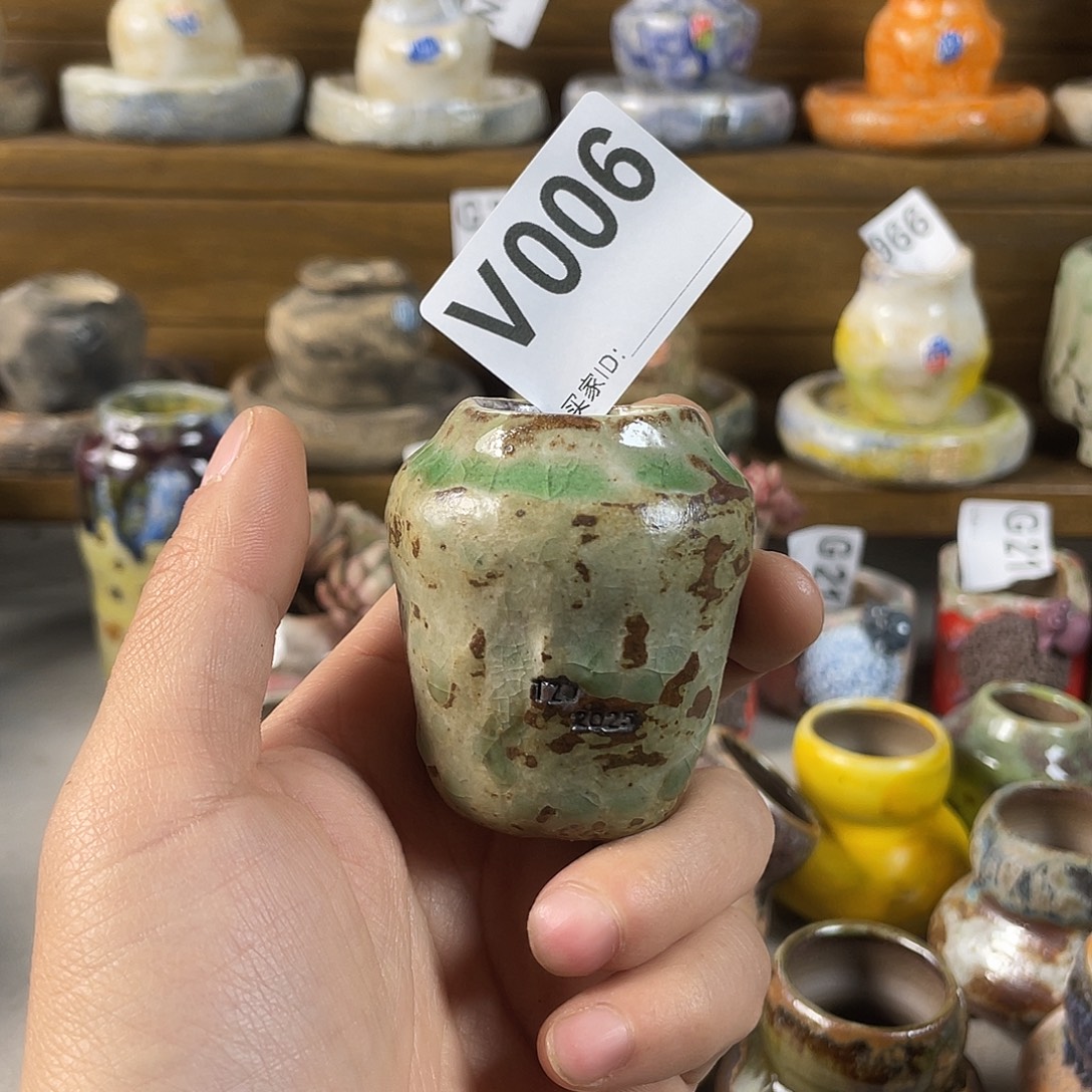 坛子姐多肉花盆内口2.5