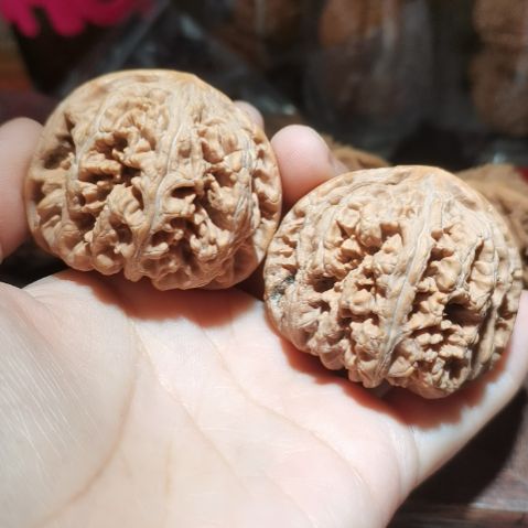 猴头核桃吊坠马*群48粗筋