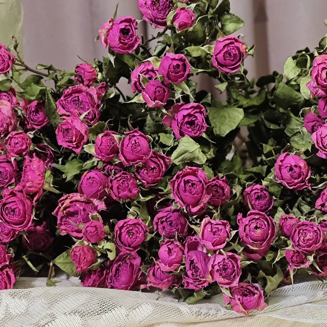 【沐岚植阁】高级干花苏菲花束家具装饰玫瑰花礼物高级摆件干花花束
