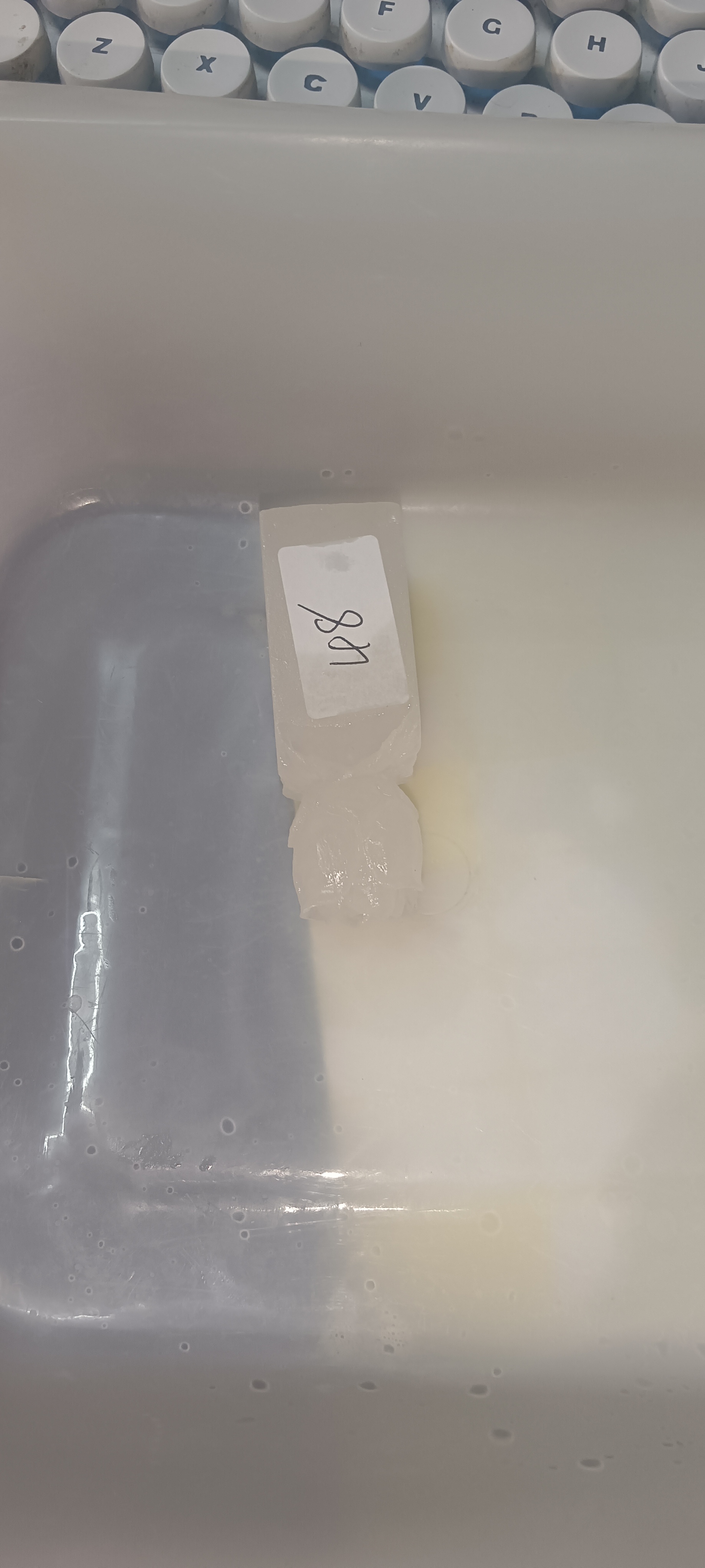云南石云南石直播拍单