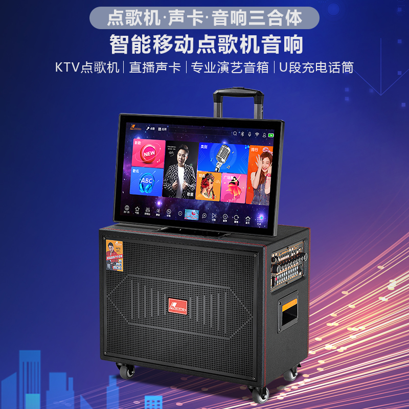 Danms/丹唛仕户外KTV带声卡大功率重低音便携式专业广场舞音响