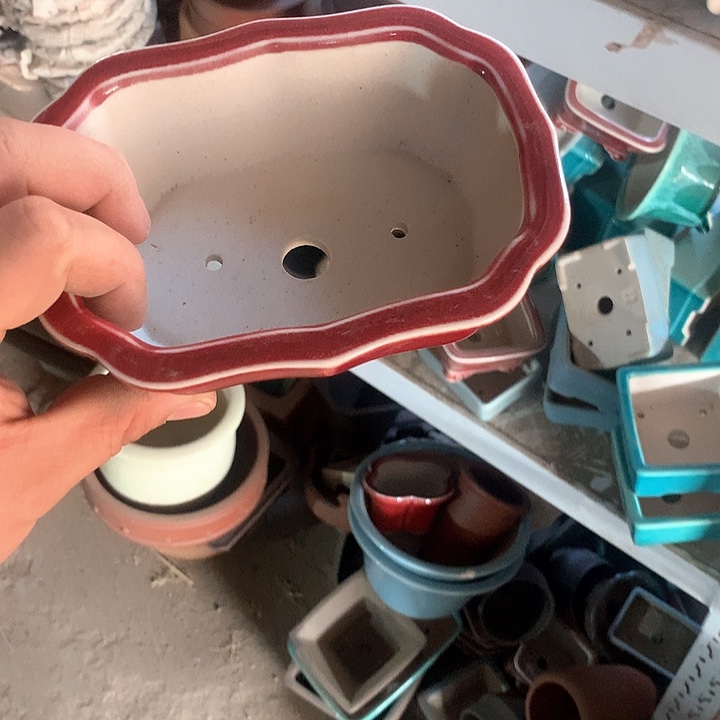 紫砂我们也有一个特别优秀