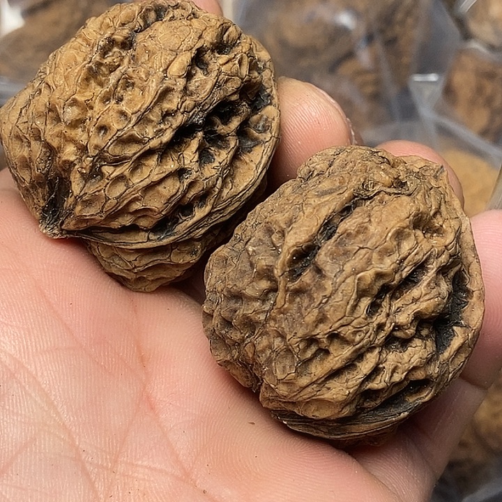 文玩核桃把件云南铁核桃29