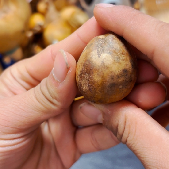 A****姐888888888888888888