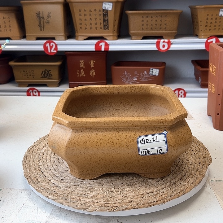 紫砂花盆蛇年大吉