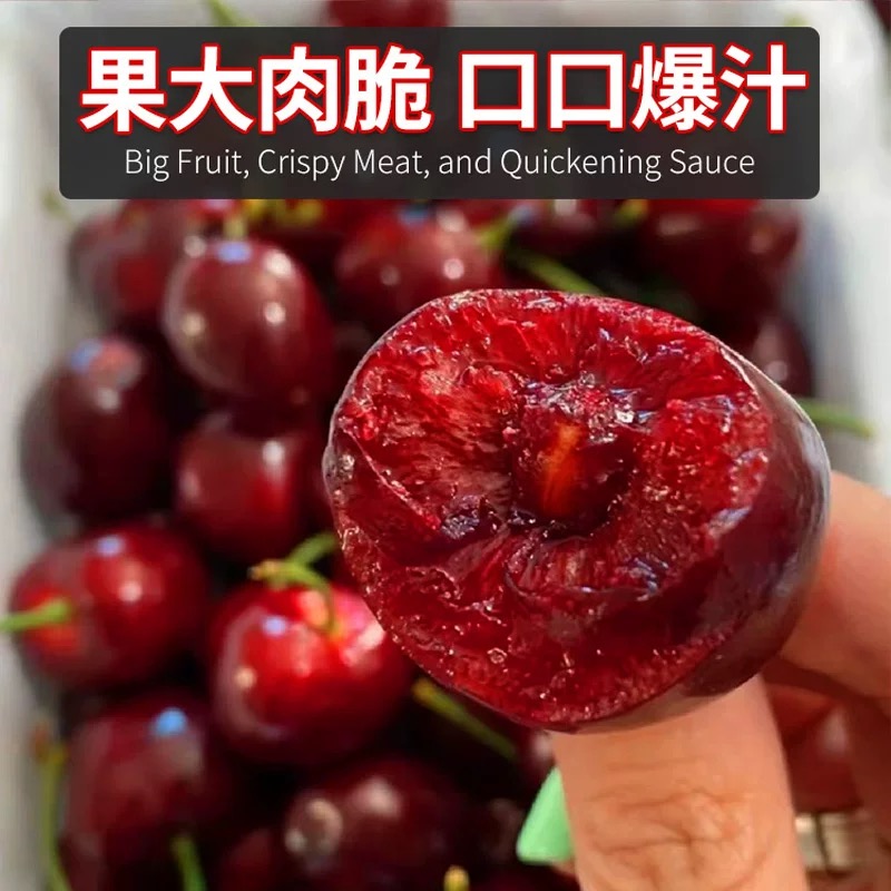 【明天到】顺丰包邮/智利进口空运车厘子鲜水果头J/JJ/JJJ/JJJJ内附果径卡进口400-2000g桑提娜樱桃智利共和国