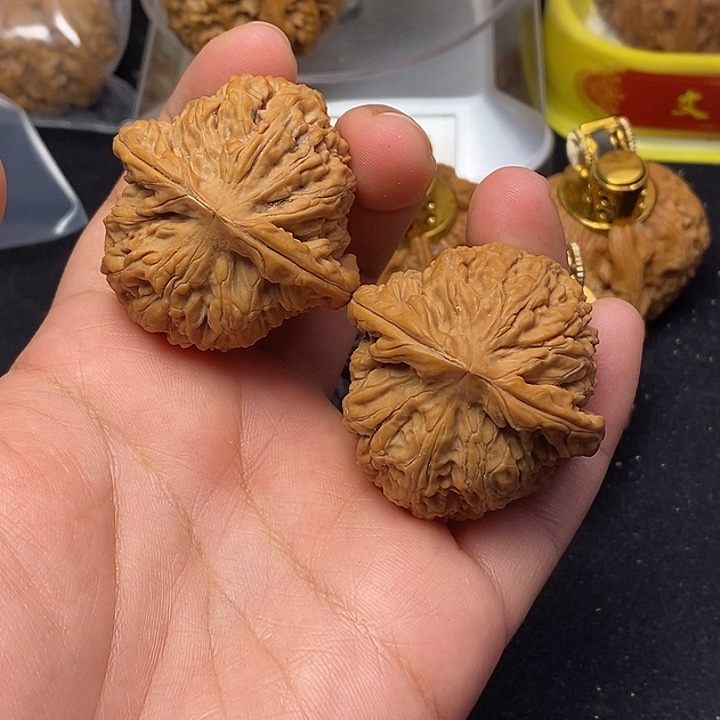 龙脊菩提吊坠核老闷